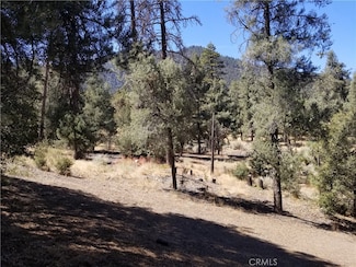 1912 Ironwood Dr, Pine Mountain Club, CA 93252