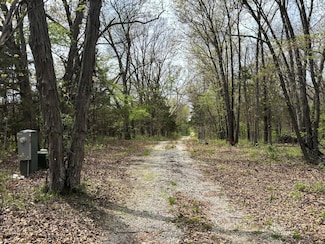 1 Joanna Dr, Salt River Township, MO 63462