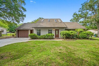 2510 Ayers Hill Ct, Lutz, FL 33559