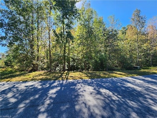 485 Saddlebred Loop, Stokesdale, NC 27357