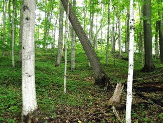 000 Burr St, Benzonia, MI 49616