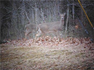 2211 Westlake Dr, Monteagle, TN 37356