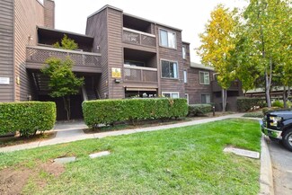 772 Teatree Ct, San Jose, CA 95128