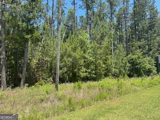 LOT 3 Matthews Rd, Tennille, GA 31089