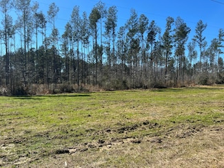 233 Stuckey Rd, Columbia, MS 39429
