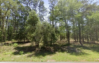 TBD NW Ridgewood Rd, Dunnellon, FL 34431