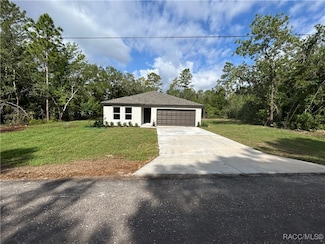 8410 N Pocono Dr, Citrus Springs, FL 34434