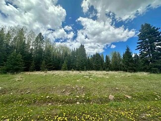 Pleasant Meadow Dr, Angel Fire, NM 87710