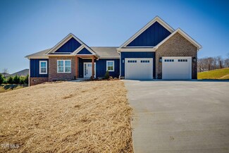 321 Allison Rd, Piney Flats, TN 37686
