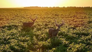 190th Street, Pierre, SD 57532