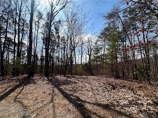 1345 Hunter Dr, Ranger, GA 30734