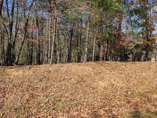 4216 Toddsbury Dr, Vinton, VA 24179