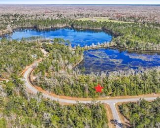 7 Seven Springs Dr, Wewahitchka, FL 32465