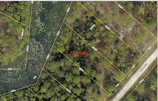 0 Otter Dr Unit MFRG5097685, Webster, FL 33597