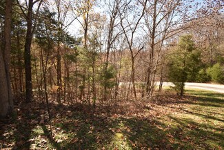 Lot 122 Walnut Springs Dr, Washington Township, MO 65624