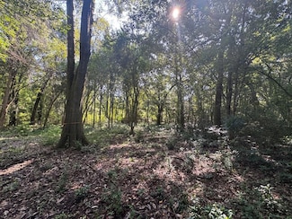 1511 N Dawson St, Thomasville, GA 31792