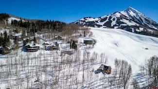 43 Ruby Dr, Crested Butte, CO 81225