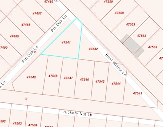 1 Bent Willow Ln, Huntington, TX 75949
