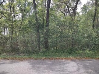 3800 S Diamond Ave, Inverness Highlands South, FL 34452