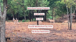 0000 Pioneer Crossing, Weatherford, TX 76088