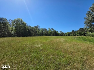 Reedy Branch Rd, Shottsville, AL 35582