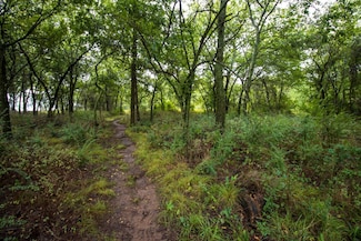 TBD Camp Arbuckle Avenue (20+ -Acres), Byars, OK 74831