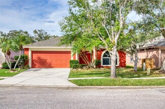 27542 Sky Lake Cir, Wesley Chapel, FL 33544