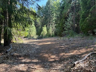 0 Castle Lake Unit 2112809, Shasta Lake, CA 96067