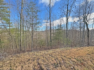 400 Pine Cone Trail, Marshall, NC 28753