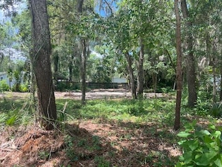 107 Marlin Dr, Satsuma, FL 32189