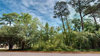 162 Orleans Dr, Dauphin Island, AL 36528