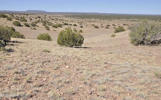 14 Cr 5525, Concho, AZ 85924