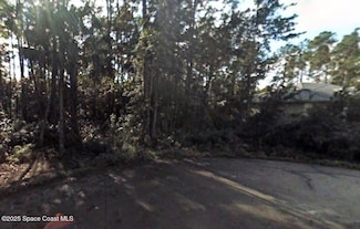 20 Lleberry Path, Palm Coast, FL 32164