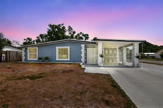 8006 Tanglewood Ln, Tampa, FL 33615