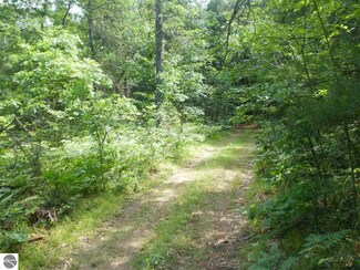 0 Poder Dr, Marion, MI 49665