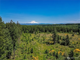 39507 18th Ave E, Roy, WA 98328