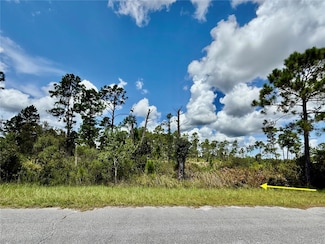 LOT 8 Honeysuckle St, Eustis, FL 32736