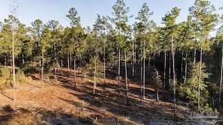 Lot 20 Steele Meadow Dr, Milton, FL 32571