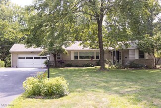 335 Deer Trail Ave, Canfield, OH 44406