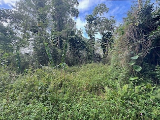 0 Kahoolawe Rd, Pahoa, HI 96778