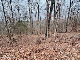 Lot 108 Sunny View Rd, Brandenburg, KY 40108