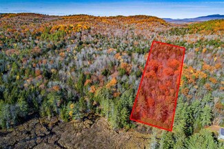 29 Ford Mill Rd, Danbury, NH 03230