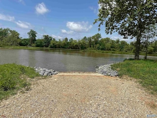 Lot 7 County Road 115, Cedar Bluff, AL 35959