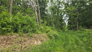 10559 20th St, Colfax, WI 54730
