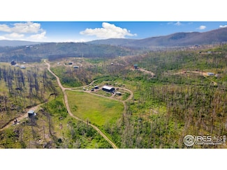 1081 Deer Horn Trail, Bellvue, CO 80512