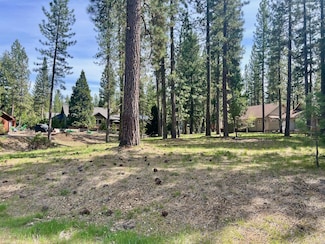 325 Eureka Springs Dr, Blairsden, CA 96103