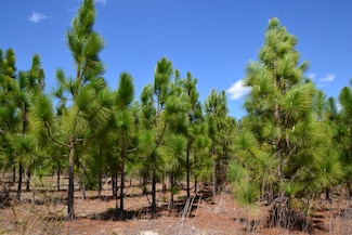 5659 State Road S-28-31, Jefferson, SC 29718