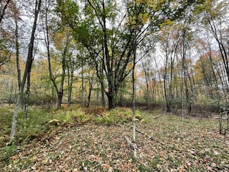 0 Mount Hope Rd, Bethel, NY 12783