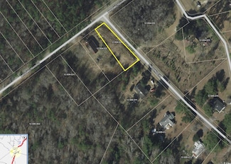 TBD SW Highway 385, Lane, SC 29564