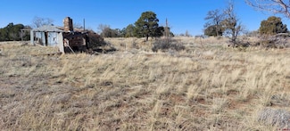 51981 Highway 491 Hwy, Cahone, CO 81320